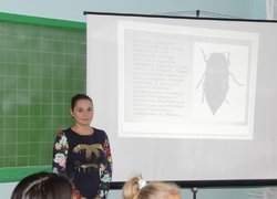 Відкрите заняття з дисципліни Агрозоологія на тему: «Клас Комахи»