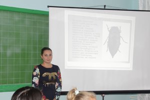 Відкрите заняття з дисципліни Агрозоологія на тему: «Клас Комахи»