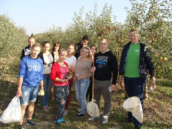 Ентомофауна в саду
