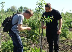 Захисники рослин на практичному занятті в саду