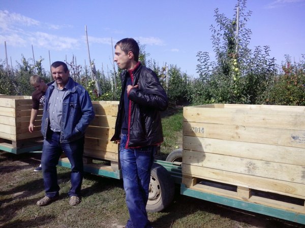 Практичне заняття з курсу «Технологія зберігання і переробки продукції рослинництва»