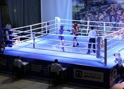 Яскраве поєднання спортивних і творчих талантів