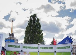 Золота медаль кафедри туризму та готельно-ресторанної справи
