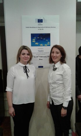 Європейський досвід дорадництва: уроки для України