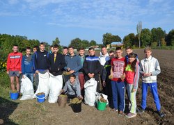 Студенти напрямку «Лісове господарство» закладають плантацію з ведмежого горіха