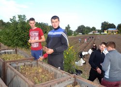 Підготовка до закладання плантації з ведмежого горіха  студентами лісового господарства УНУС