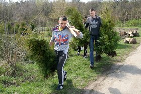 Спеціальність «Лісове господарство» Уманський НУС