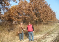 Всеукраїнської наукової конференції «Перспективи розвитку лісового та садово-паркового господарства»