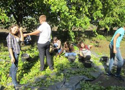 Роль праці у вихованні підростаючих управлінців Уманського НУС