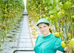 Horticulture and viticulture