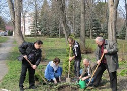 Озеленення території УНУС
