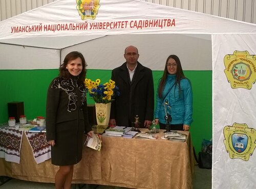 Вибір майбутньої професії – запорука успішної кар’єри
