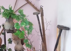 Я їх любив. Лірика у творчості Тараса Шевченка
