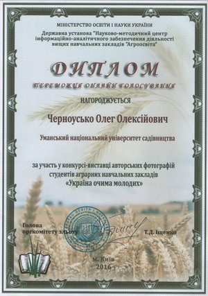 Перемога у фотоконкурсі «Україна очима молодих»