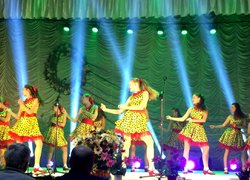 Колективи Центру культури і виховання студентів Уманського НУС