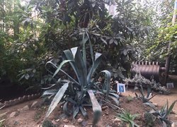 Дні європейської спадщини в Уманському НУС