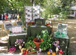 Вічномолодий дух університету
