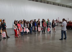 Відкриваємо завісу таємниць професій