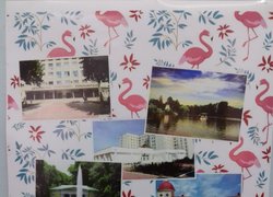 Святкування Дня маркетолога в Уманському НУС