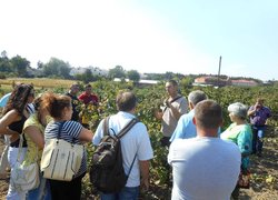 Кластерний тренінг для представників сільськогосподарських обслуговуючих кооперативів