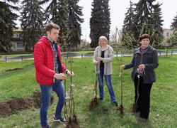 Яблуні з УНУС квітуватимуть на Вінниччині