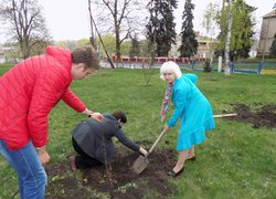 Яблуні з УНУС квітуватимуть на Вінниччині