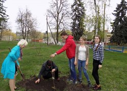 Яблуні з УНУС квітуватимуть на Вінниччині
