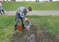 Яблуні з УНУС квітуватимуть на Вінниччині