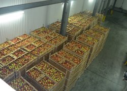 Сучасні технології на озброєнні освіти