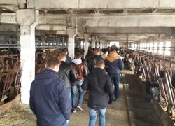 Огляд тваринницької ферми господарства «Агрофірма «Базис»