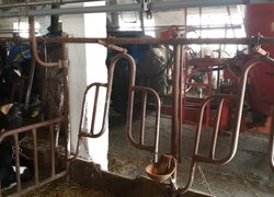 Огляд тваринницької ферми господарства «Агрофірма «Базис»