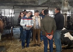 Огляд тваринницької ферми господарства «Агрофірма «Базис»