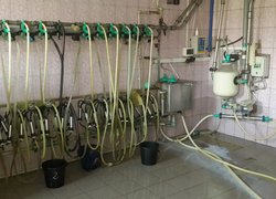 Комплект молокоперекачувального обладнання