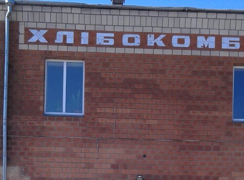 Практичне заняття на Ладижинському хлібокомбінаті