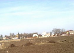 Практична підготовка студентів факультету лісового та садово-паркового господарства