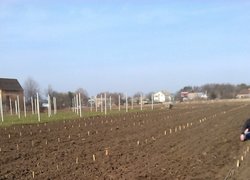 Практична підготовка студентів факультету лісового та садово-паркового господарства