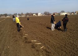 Практична підготовка студентів факультету лісового та садово-паркового господарства