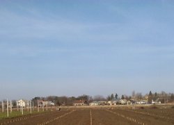 Практична підготовка студентів факультету лісового та садово-паркового господарства