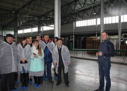 Менеджери знайомились із сучасними технологіями в овочівництві