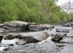 Кафедра менеджменту організацій отримала міні-грант на Study Tour від міжнародного проекту ЄС/ПРООН