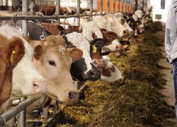 Екскурсія майбутніх менеджерів на виробництво