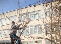 Допомога ЗОШ № 3 щодо благоустрою території