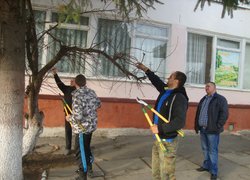 Допомога ЗОШ № 3 щодо благоустрою території