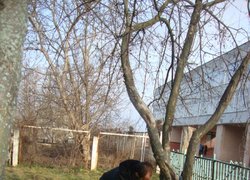 Допомога ЗОШ № 3 щодо благоустрою території