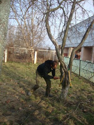 Допомога ЗОШ № 3 щодо благоустрою території