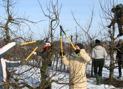 Практична підготовка – основа знань