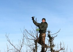 Практична підготовка – основа знань
