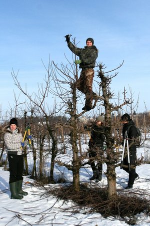 Практична підготовка – основа знань