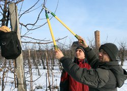 Практична підготовка – основа знань