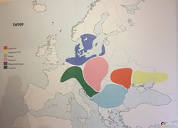 Логістичний менеджмент: проблеми та перспективи